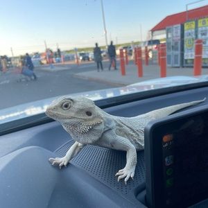 Meet your Posher, Posh